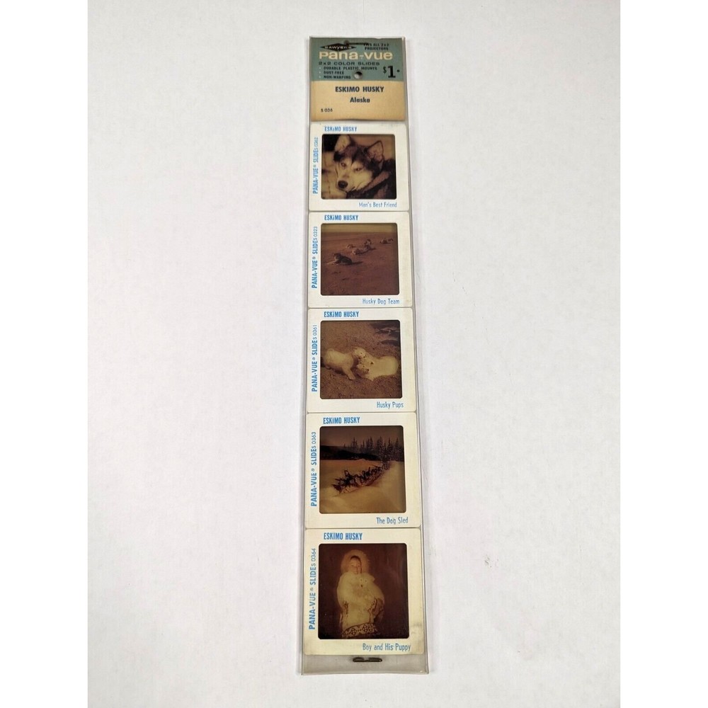 Vintage Sawyers GAF Pana-Vue Slides Eskimo Husky Dog Canine Alaska Lot of 5 S036